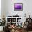 Purple Rain-Philippe Sainte-Laudy-Framed Premium Photographic Print displayed on a wall