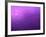 Purple Rain-Philippe Sainte-Laudy-Framed Premium Photographic Print