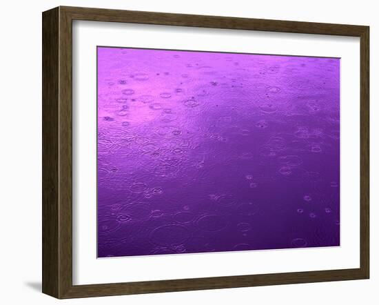 Purple Rain-Philippe Sainte-Laudy-Framed Photographic Print