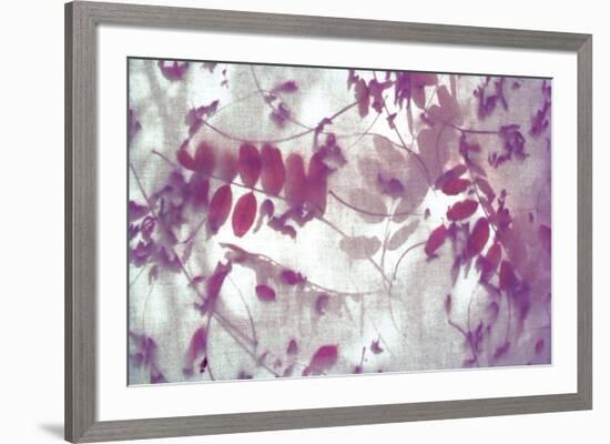 Purple Robinia-Jo Crowther-Framed Giclee Print