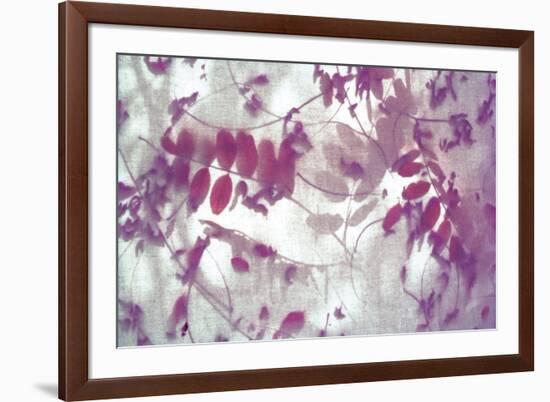 Purple Robinia-Jo Crowther-Framed Giclee Print