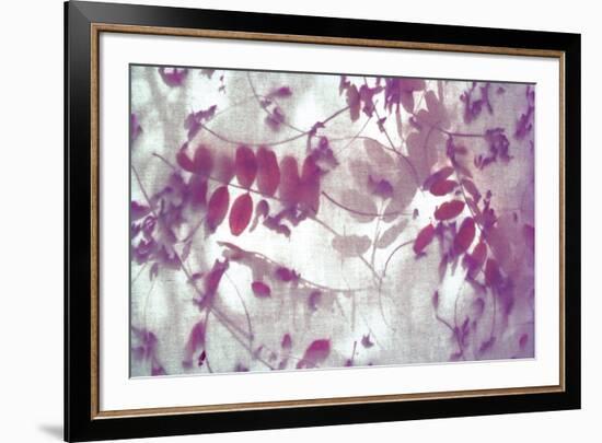 Purple Robinia-Jo Crowther-Framed Giclee Print