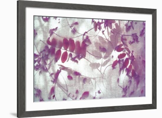 Purple Robinia-Jo Crowther-Framed Giclee Print