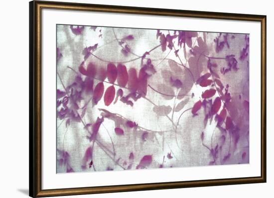 Purple Robinia-Jo Crowther-Framed Giclee Print