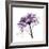 Purple Rose 2-Albert Koetsier-Framed Art Print