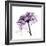 Purple Rose 2-Albert Koetsier-Framed Art Print