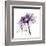 Purple Rose 2-Albert Koetsier-Framed Art Print