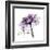 Purple Rose 2-Albert Koetsier-Framed Art Print