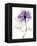 Purple Rose Portrait 2-Albert Koetsier-Framed Stretched Canvas