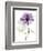 Purple Rose Portrait 2-Albert Koetsier-Framed Art Print