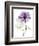 Purple Rose Portrait 2-Albert Koetsier-Framed Art Print