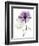 Purple Rose Portrait 2-Albert Koetsier-Framed Art Print