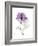 Purple Rose Portrait-Albert Koetsier-Framed Premium Giclee Print