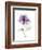 Purple Rose Portrait-Albert Koetsier-Framed Art Print