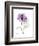 Purple Rose Portrait-Albert Koetsier-Framed Art Print