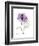 Purple Rose Portrait-Albert Koetsier-Framed Art Print