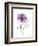 Purple Rose Portrait-Albert Koetsier-Framed Art Print