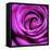 Purple Rose-null-Framed Premier Image Canvas