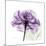 Purple Rose-Albert Koetsier-Mounted Art Print
