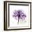 Purple Rose-Albert Koetsier-Framed Art Print