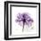 Purple Rose-Albert Koetsier-Framed Art Print