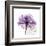 Purple Rose-Albert Koetsier-Framed Art Print