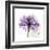 Purple Rose-Albert Koetsier-Framed Art Print