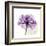 Purple Rose-Albert Koetsier-Framed Art Print