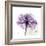 Purple Rose-Albert Koetsier-Framed Premium Giclee Print