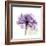 Purple Rose-Albert Koetsier-Framed Premium Giclee Print