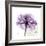 Purple Rose-Albert Koetsier-Framed Premium Giclee Print