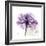 Purple Rose-Albert Koetsier-Framed Premium Giclee Print