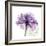 Purple Rose-Albert Koetsier-Framed Premium Giclee Print