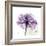 Purple Rose-Albert Koetsier-Framed Art Print