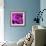 Purple Rose-null-Framed Photographic Print displayed on a wall