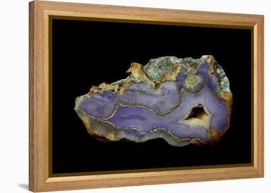 Purple Sagenite Agate, Quartzsite, AZ-Darrell Gulin-Framed Premier Image Canvas