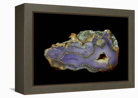 Purple Sagenite Agate, Quartzsite, AZ-Darrell Gulin-Framed Premier Image Canvas