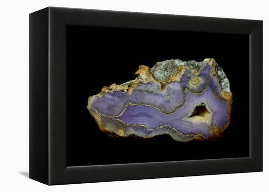 Purple Sagenite Agate, Quartzsite, AZ-Darrell Gulin-Framed Premier Image Canvas