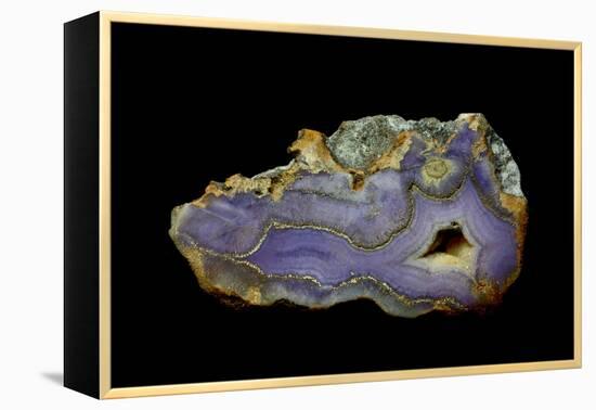 Purple Sagenite Agate, Quartzsite, AZ-Darrell Gulin-Framed Premier Image Canvas