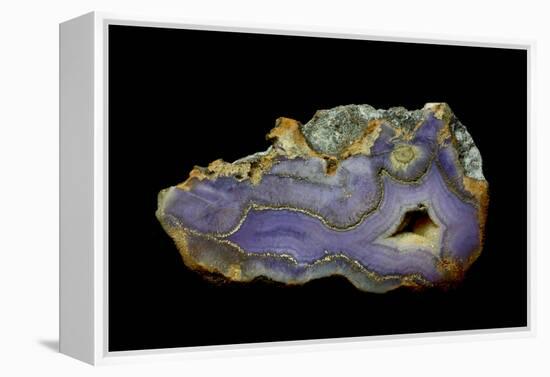 Purple Sagenite Agate, Quartzsite, AZ-Darrell Gulin-Framed Premier Image Canvas