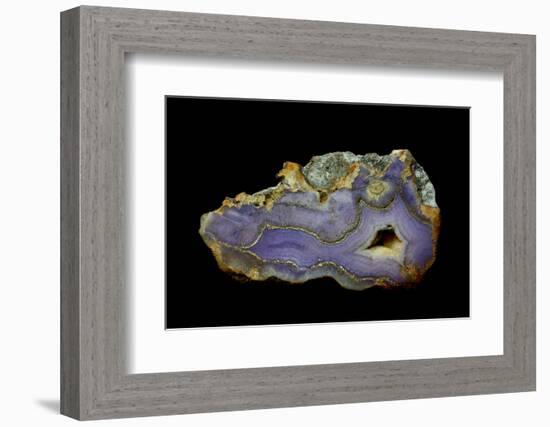 Purple Sagenite Agate, Quartzsite, AZ-Darrell Gulin-Framed Photographic Print