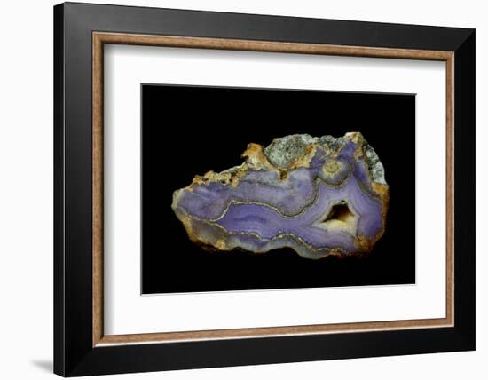 Purple Sagenite Agate, Quartzsite, AZ-Darrell Gulin-Framed Photographic Print