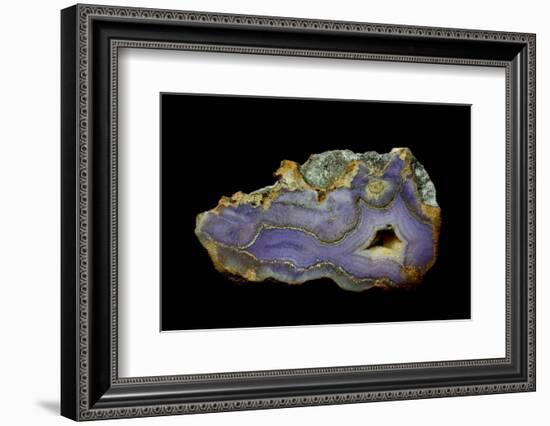 Purple Sagenite Agate, Quartzsite, AZ-Darrell Gulin-Framed Photographic Print