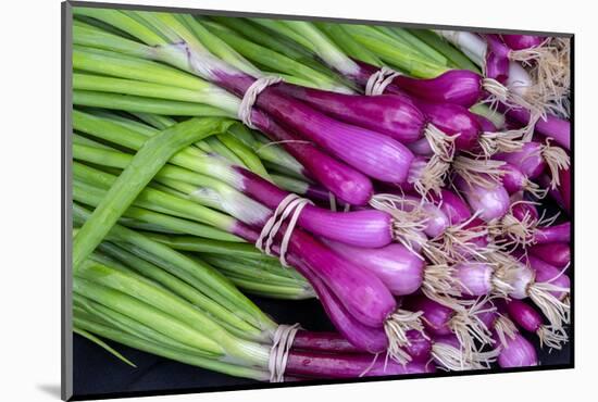 Purple scallions, USA-Jim Engelbrecht-Mounted Photographic Print