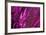 Purple Sequin Background-maksheb-Framed Photographic Print