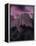 Purple Sky over Half Dome-Jim Zuckerman-Framed Premier Image Canvas