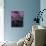 Purple Sky over Half Dome-Jim Zuckerman-Photographic Print displayed on a wall