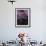 Purple Sky over Half Dome-Jim Zuckerman-Framed Photographic Print displayed on a wall