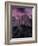 Purple Sky over Half Dome-Jim Zuckerman-Framed Photographic Print