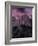 Purple Sky over Half Dome-Jim Zuckerman-Framed Photographic Print